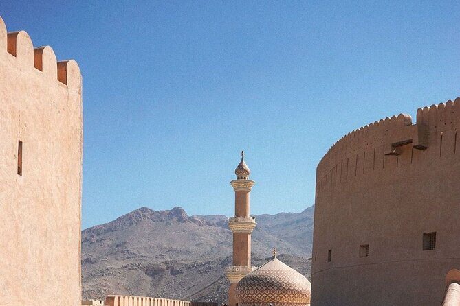 Muscat Shore Excursion: Private Nizwa Day Trip - Who Should Consider This Tour?
