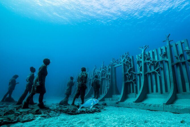 Museo Atlantico for certified divers - Safety and Practical Considerations