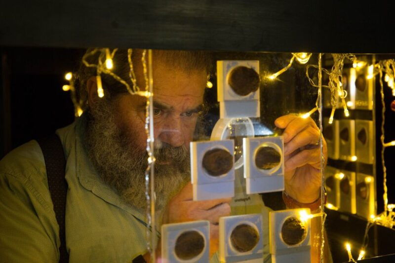 museodinotte-food-wine-and-art-in-the-heart-of-naples