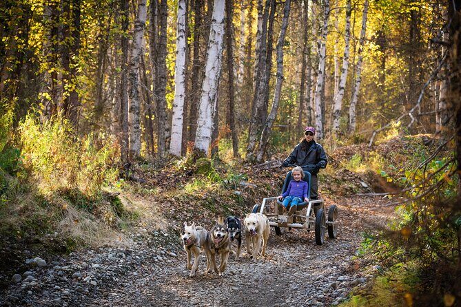 Mush Your Own Sled Dog Team (Summer/Fall Tour) - FAQ
