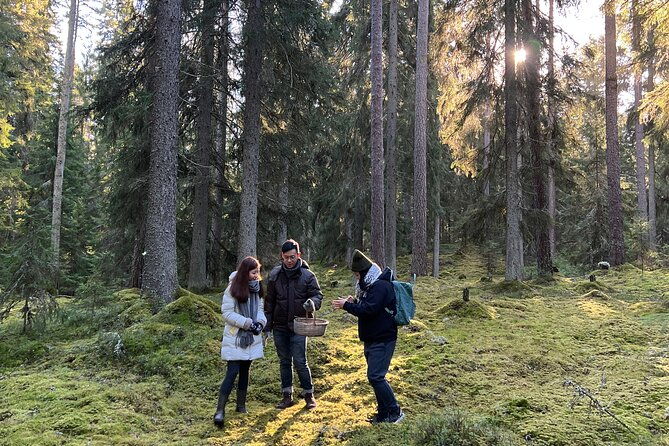 mushroom-hunting-in-a-national-park