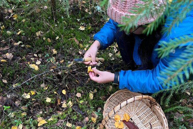 mushroom-hunting-in-a-national-park