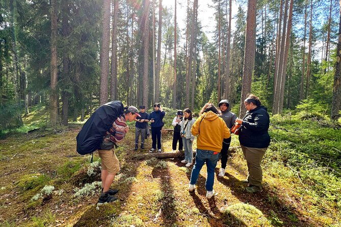 mushroom-hunting-in-a-national-park