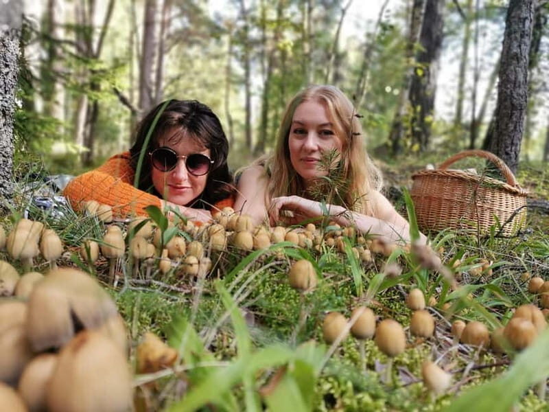 Mushroom picking in the forests near Riga - Final Thoughts