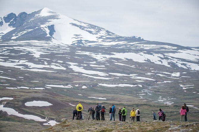 musk-ox-safari-in-dovrefjell-national-park-from-oppdal