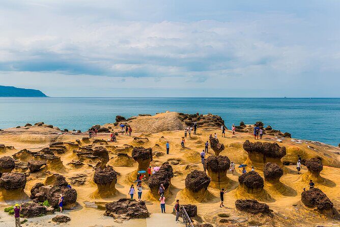 Muslim-Friendly Northern Taiwan Day Tour Yehliu, Jiufen, Shifen - The Sum Up