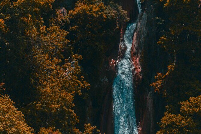 Mussoorie City Full Day Guided Tour - Practical Aspects of the Tour