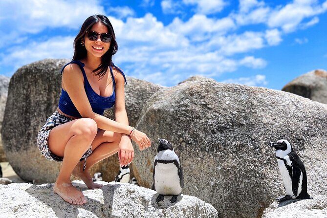 MUST DO: Boulders Beach & Cape Point Full Day Tour #1 Rated - Key Points