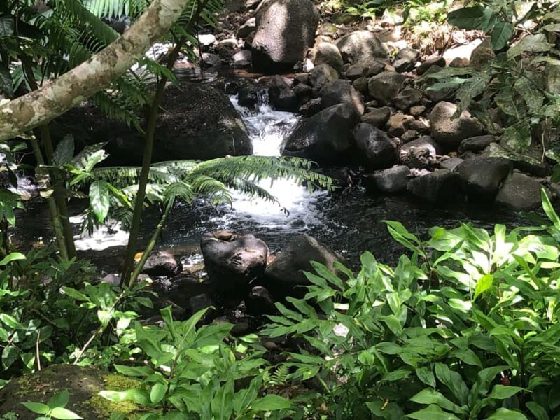 Must-Do : Nature, Culture & Moments Uniques  MirimirI Tours - Must-Do: Nature, Culture & Moments Uniques MirimirI Tours