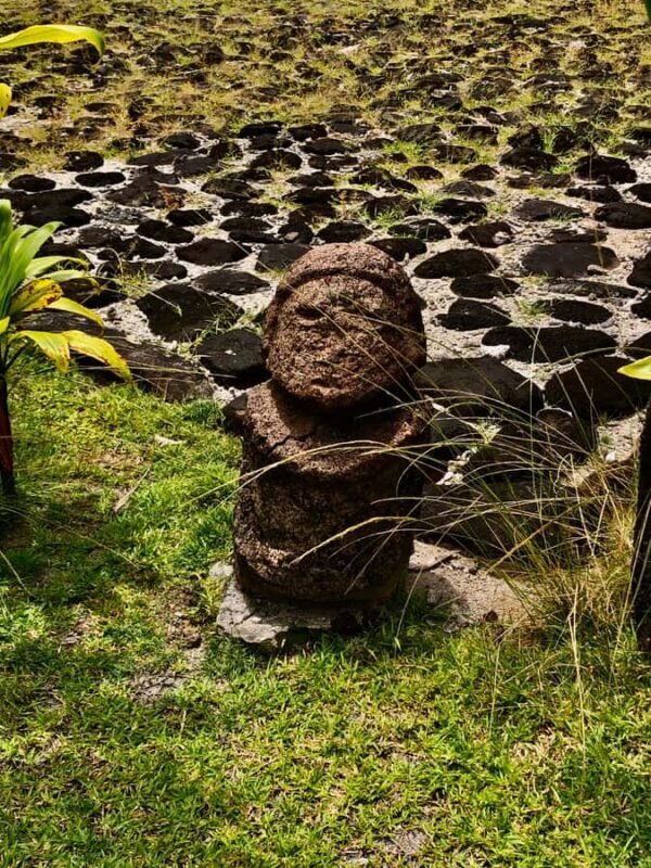 Must-Do : Nature, Culture & Moments Uniques  MirimirI Tours - Key Points