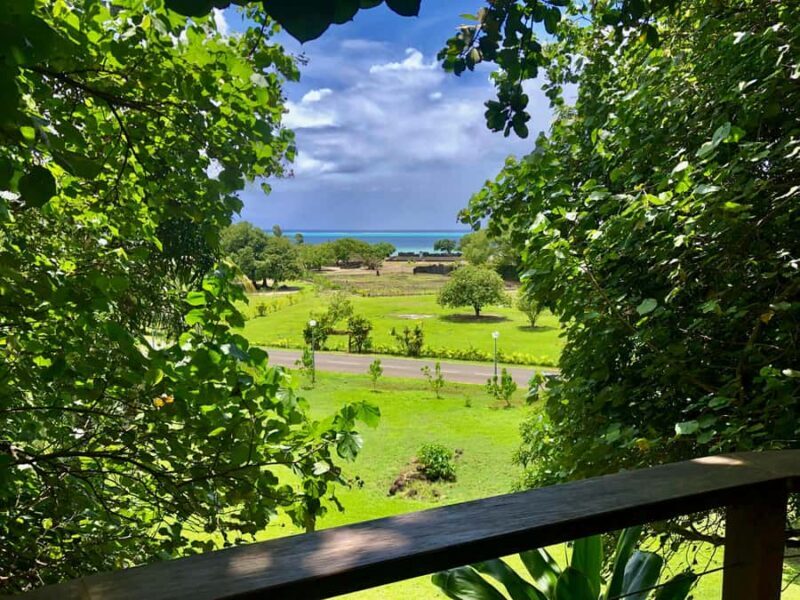 Must-Do : Nature, Culture & Moments Uniques  MirimirI Tours - What’s the Value?