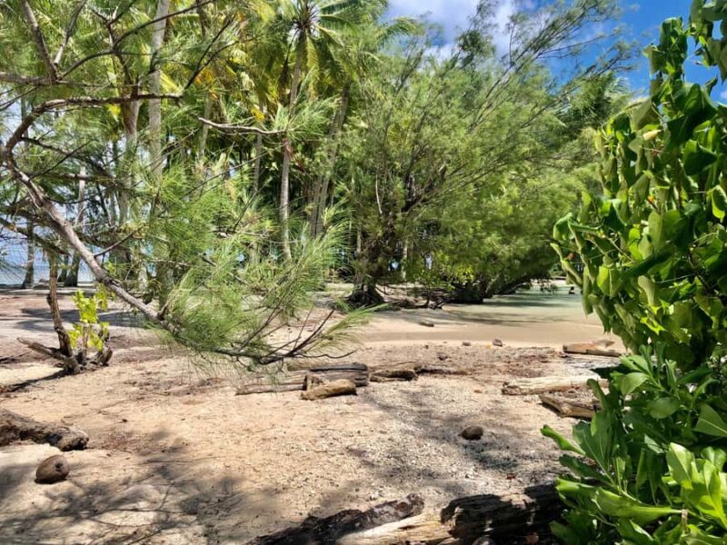 Must-Do : Nature, Culture & Moments Uniques  MirimirI Tours - Additional Practical Tips