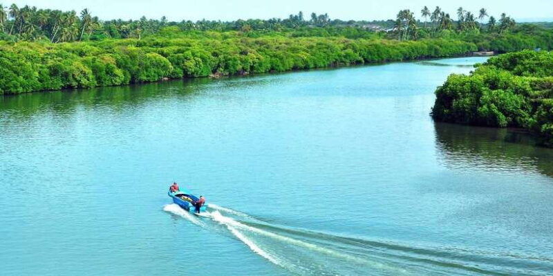 muthurajawela-bird-watching-tour-from-negombo-and-colombo