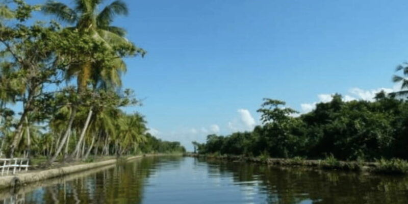 muthurajawela-wetland-birdwatching-expedition-by-boat