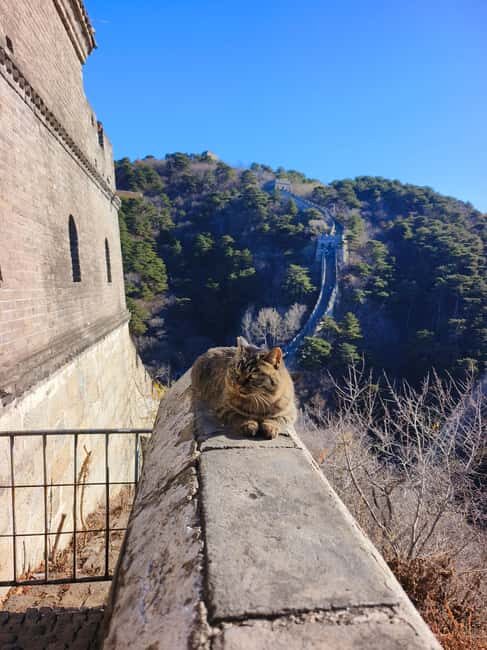 Mutianyu Great Wall Private Tour with English Driver - Who Would Love This Tour?