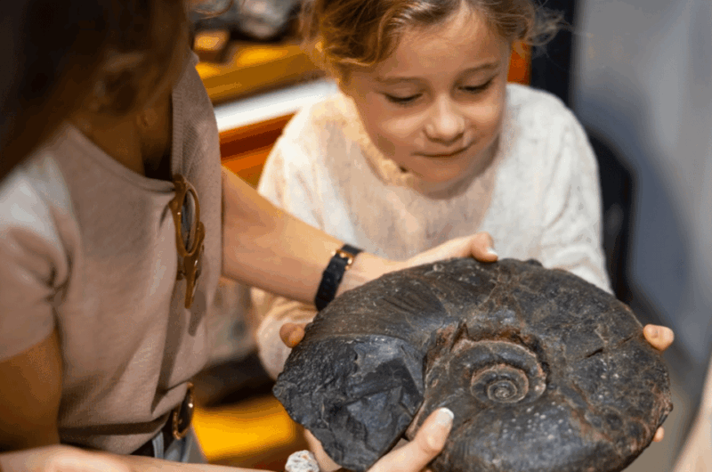 mutriku-nautilus-flysch-fossils-experience