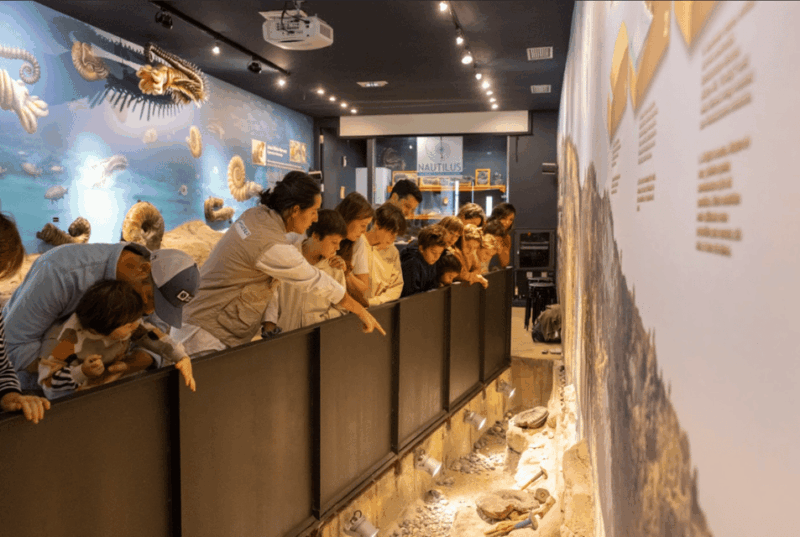 mutriku-nautilus-flysch-fossils-experience