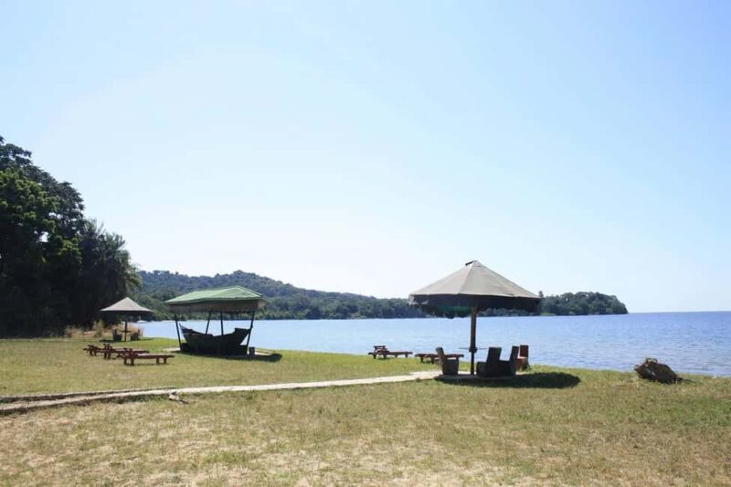 Mwanza: 3-Day Rubondo Island Safari with Chimp Trekking - Key Points
