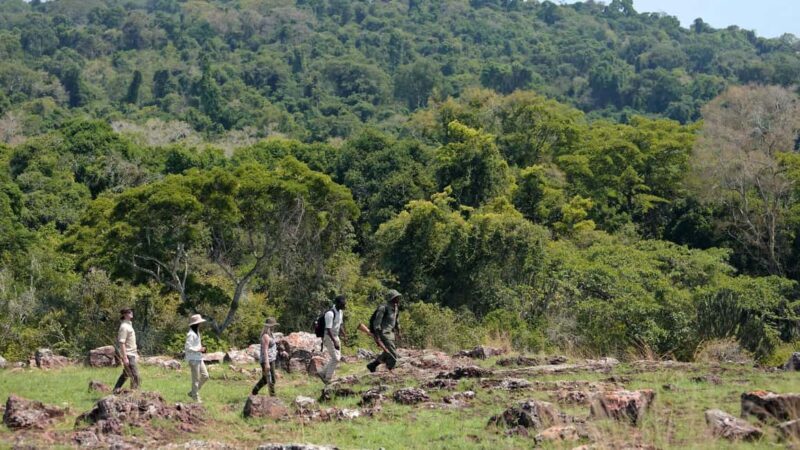 Mwanza: Rubondo Island 5-Day Safari with Meals - A Detailed Look at the 5-Day Itinerary