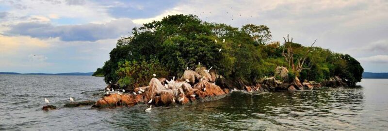 Mwanza: Rubondo Island 5-Day Safari with Meals - Day 2: The Boat Transfer & First Impressions of Rubondo