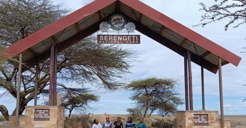 Mwanza: Serengeti National Park Day Trip with Lunch - Mwanza: Serengeti National Park Day Trip with Lunch – A Balanced Look at an Iconic Safari