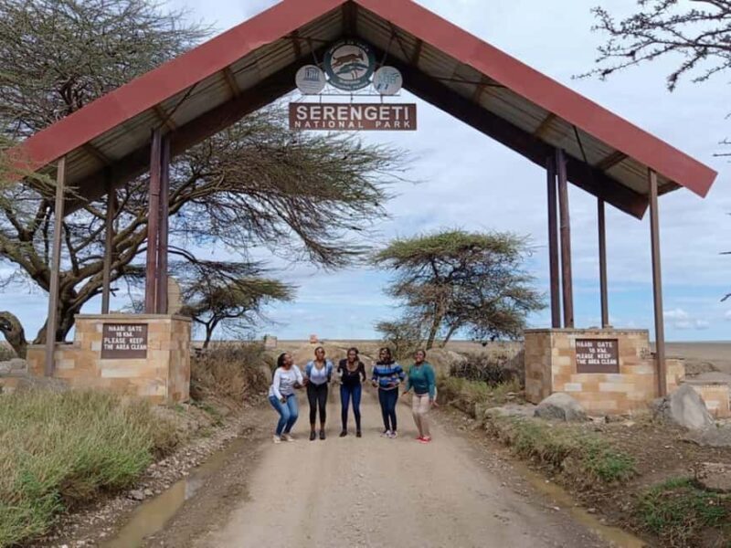 Mwanza: Serengeti National Park Day Trip with Lunch - The Itinerary Breakdown: What You Can Expect  
