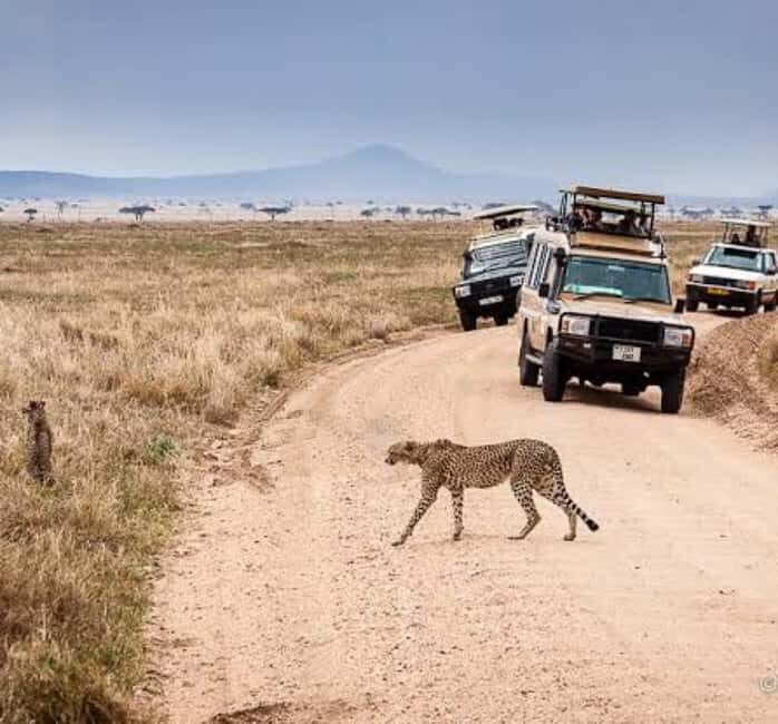 Mwanza: Serengeti National Park Day Trip with Lunch - An In-Depth Look at the Serengeti Day Trip from Mwanza