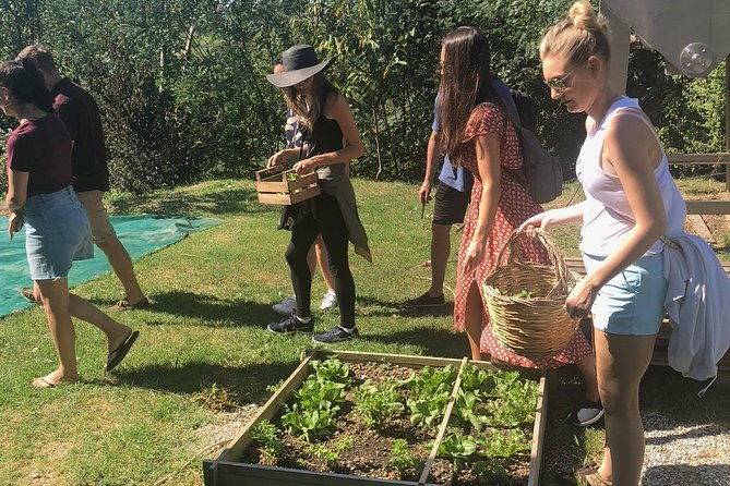 my-farm-three-experiences-in-one-day