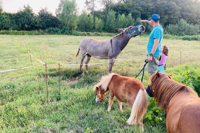 my-farm-three-experiences-in-one-day