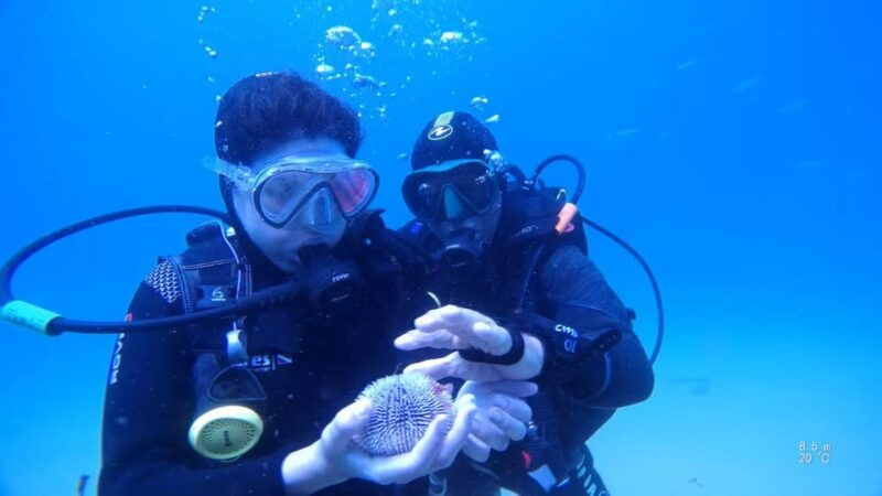 my-first-scuba-dive-in-the-ocean-from-madeira