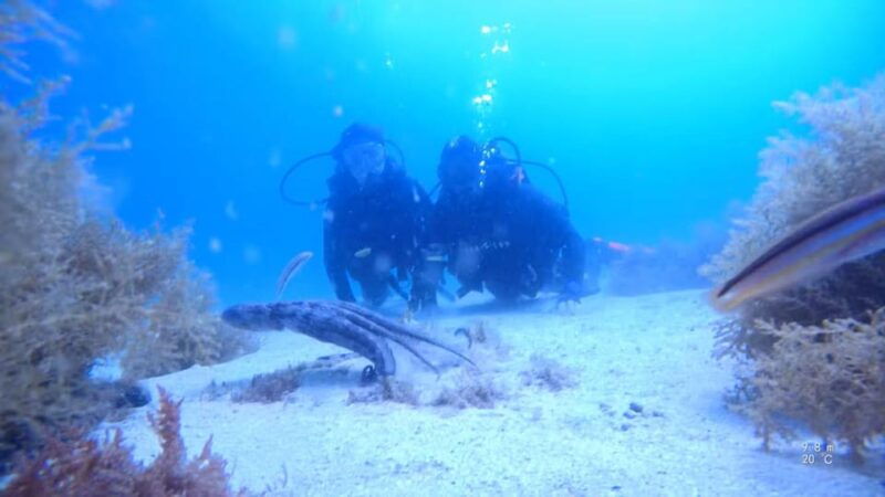 my-first-scuba-dive-in-the-ocean-from-madeira