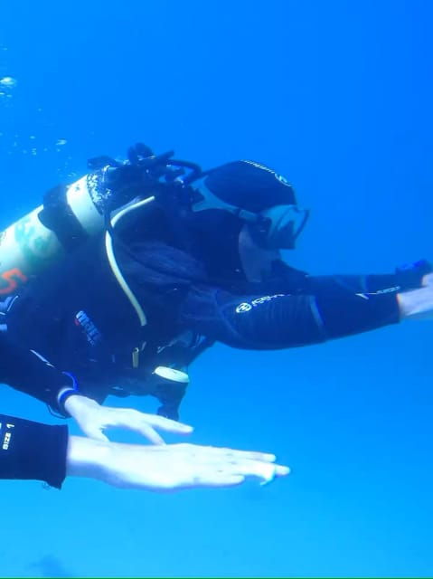 my-first-scuba-dive-into-the-ocean-from-sao-miguel