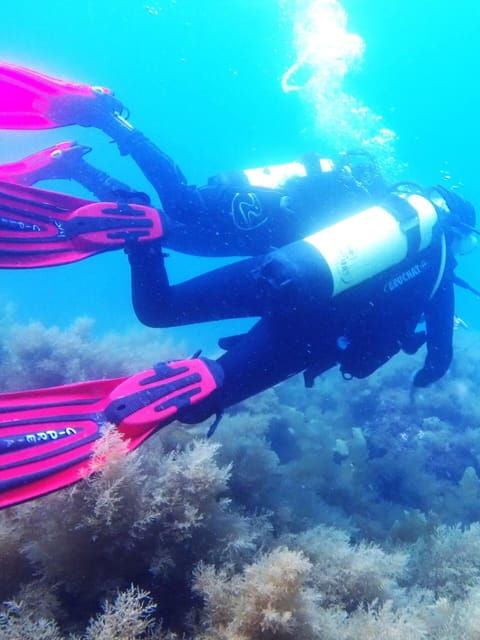 my-first-scuba-dive-into-the-ocean-from-sao-miguel