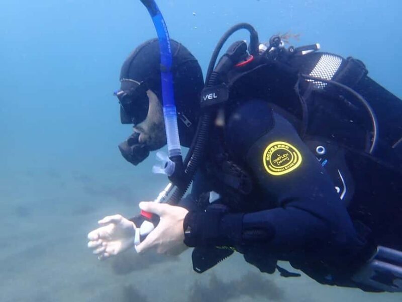 My First Scuba Dive into the Ocean from Terceira - Azores - What to Expect from the Azores Scuba Experience