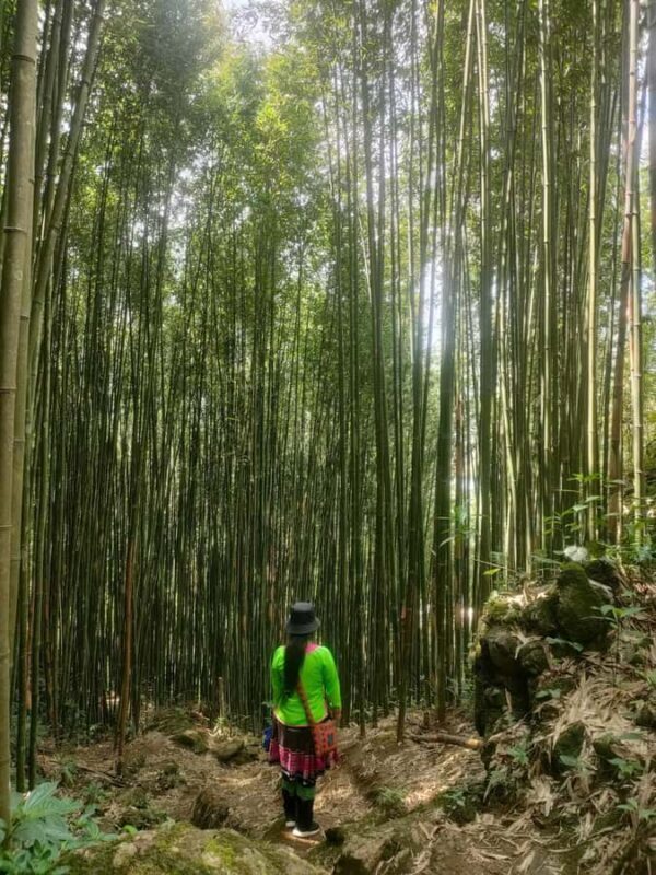 My Grandmothers Hidden Trail: A 1-Day Trek in Sapa - Final Thoughts
