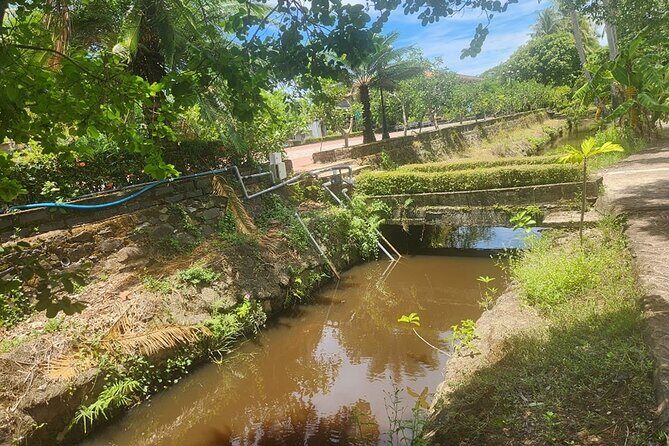 MY LAI MASSACRE & MY SON HOLYLAND-Fullday from Da nang or Hoi An - Visiting My Lai Massacre—A Sobering Reflection