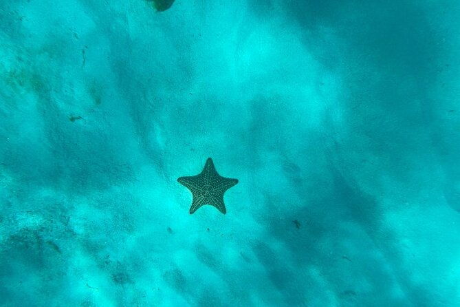 my-ship-at-la-romana-port-saona-island
