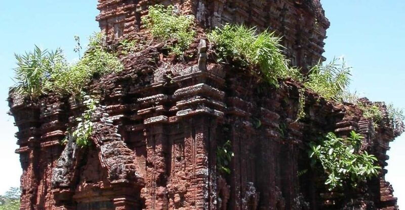 my-son-discovery-tour-and-cruise-trip-from-hoi-an