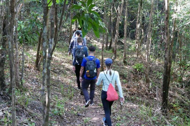 My Son Sanctuary and Mountain Trekking - Pilgrimage - FAQs