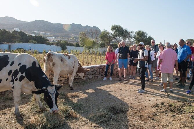 mykonian-farm-entrance-ticket