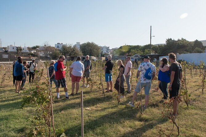 mykonian-farm-entrance-ticket