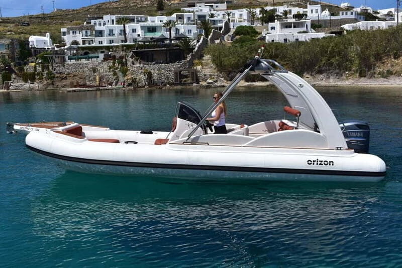 Mykonos: 3 hour Private Boat Cruise to South Coast Beaches - Who Should Consider This Experience?