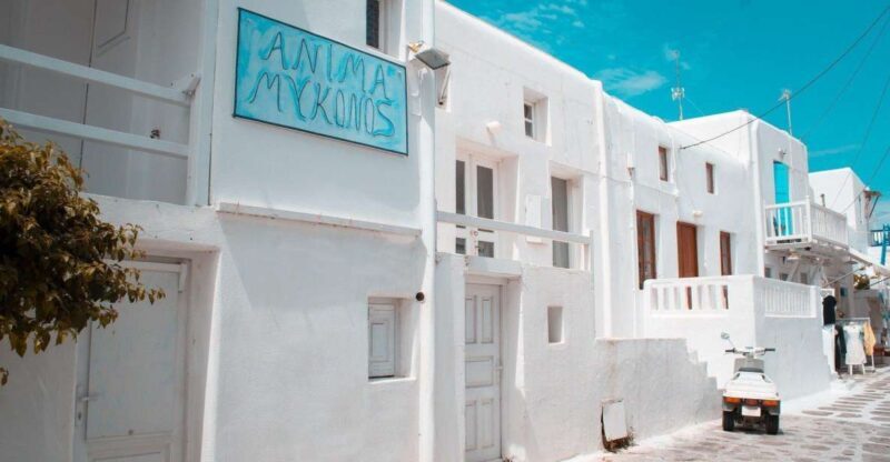 Mykonos: Delos and the city walking tour - An In-Depth Look at the Tour Experience