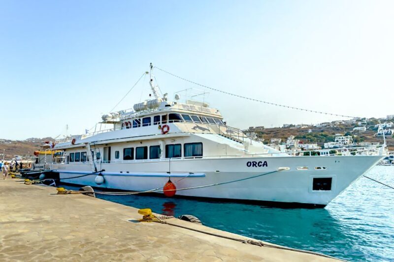 Mykonos: Delos Boat Transfer with Cell Phone Audioguide - Final Thoughts: Is This Tour for You?