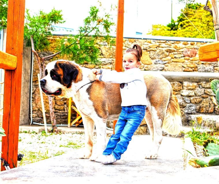 mykonos-group-cooking-class-at-the-home-of-a-local-family