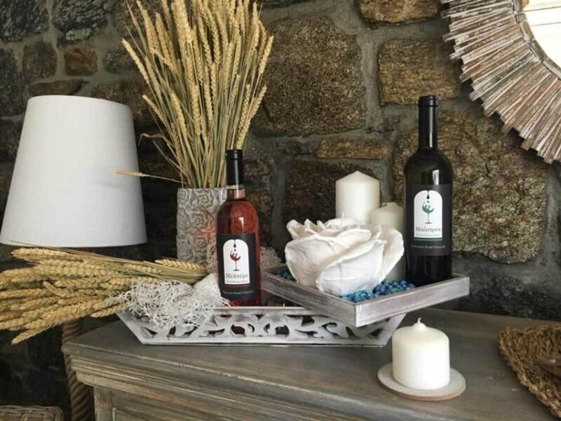Mykonos: Half-Day Wine Tasting and Snack at a Local House - Mykonos: Half-Day Wine Tasting and Snack at a Local House