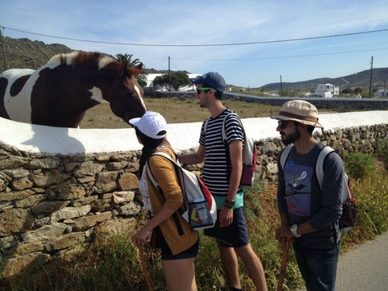 mykonos-hiking-adventure