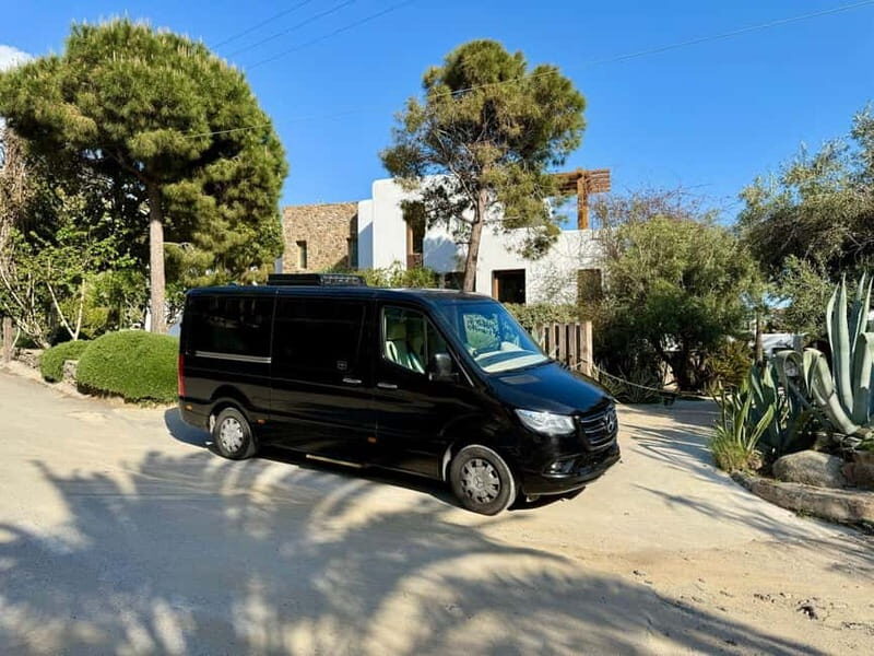 Mykonos Private 4 Hours Van & Walk - Free Port Pick-up - Is It Worth the Price?