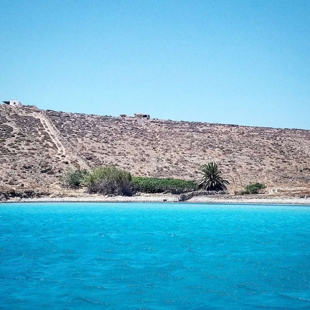 Mykonos: Private Delos and Rhenia 6hrs Cruise with Lunch - The Itinerary: From Myth to Marine Magic