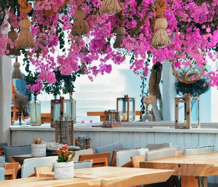 Mykonos: Private Island Tour with Transfers and Greek Meal - The Itinerary in Detail